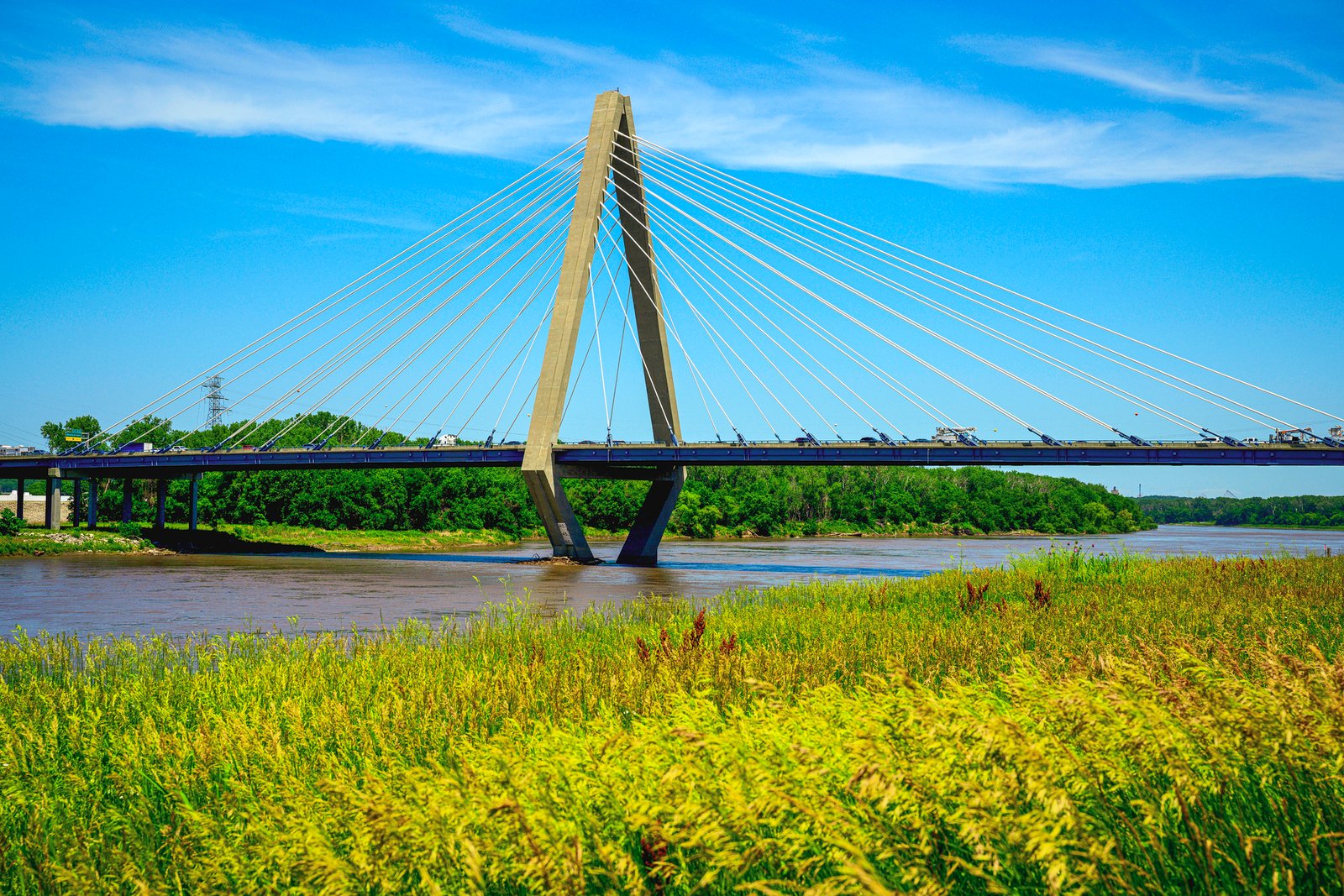 The Bond Bridge crossing the Missouri River and the beautiful wildflowers along the Riverfront Heritage Trail in Kansas City, Missouri
